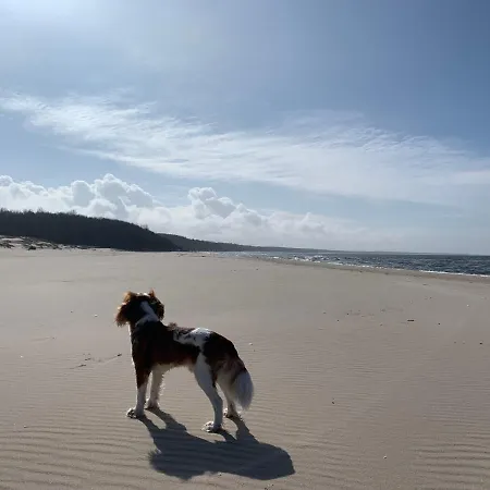 Sophie Polanki Апартаменты